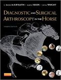 Diagnostic and Surgical Arthroscopy in the Horse, 4th Edition