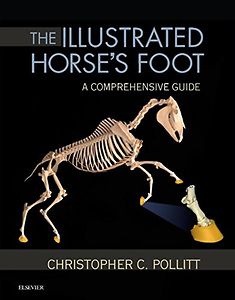 The Illustrated Horse's Foot: A comprehensive guide