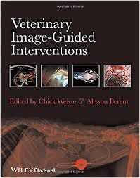 Veterinary image-guided interventions