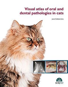 Visual atlas of oral and dental pathologies in cats