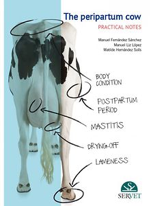 The peripartum cow: practical notes