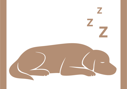 Oppimispolku: Pieneläinten anestesia