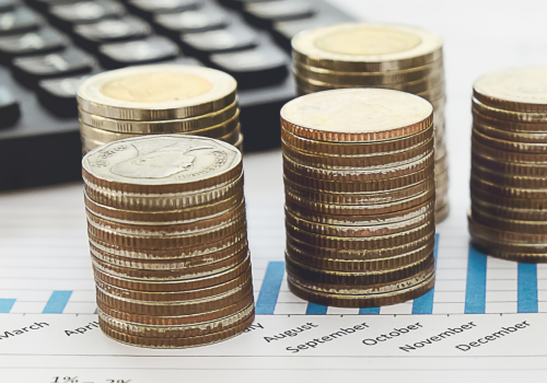 Eläinlääkärin verotus