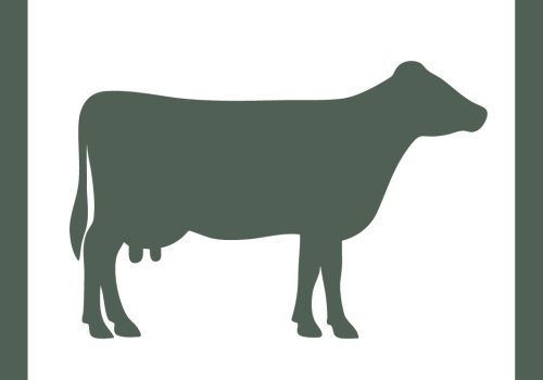 Vasikoiden terveydenhuolto